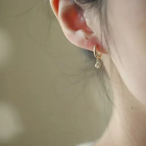 925 silver needle crystal zircon golden round earrings geometric flower rhinestones hoop classic earrings jewelry party gifts